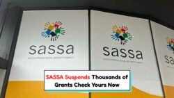SASSA Halts Thousands of Grants – Is Your Payment at Risk?